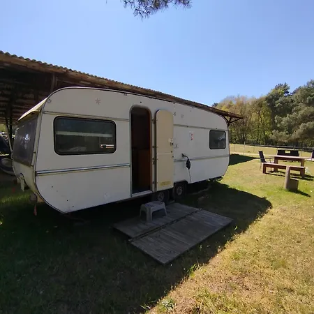 Retro Caravan Auf Tierschutzhof Am Wald אתר קמפינג *