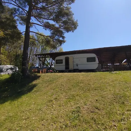 Retro Caravan Auf Tierschutzhof Am Wald אתר קמפינג Selmsdorf