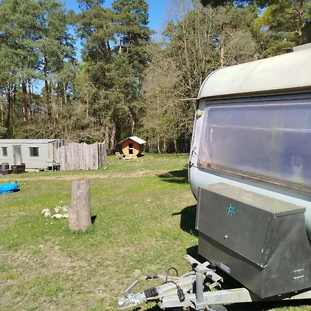 אתר קמפינג Retro Caravan Auf Tierschutzhof Am Wald